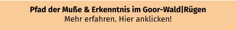 Pfad der Muße & Erkenntnis im Goor-Wald|Rügen  Mehr erfahren. Hier anklicken!